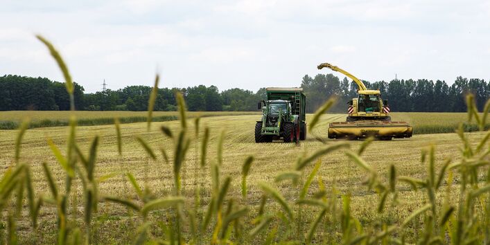 Mähdrescher bei der Ernte