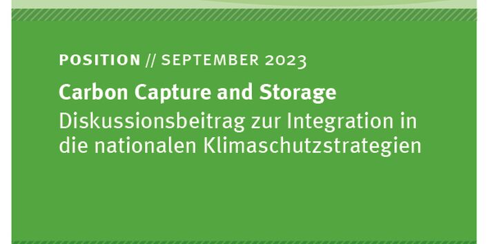 Cover des Hintergrundpapiers Carbon Capture and Storage