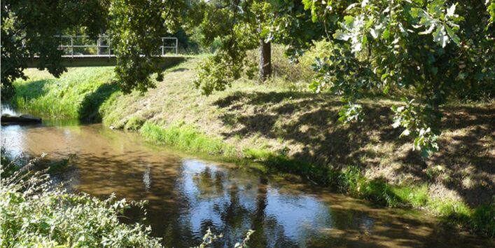 Kanäle durchziehen die Auenlandschaft(Bild)