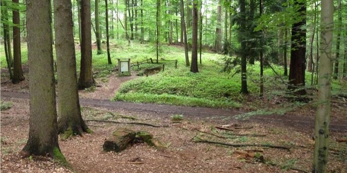 Foto der Landschaft des Lehrpfades