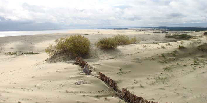 Дюны на Куршской косе