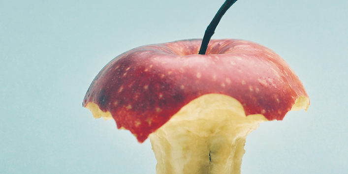 Titelbild Prevention food waste