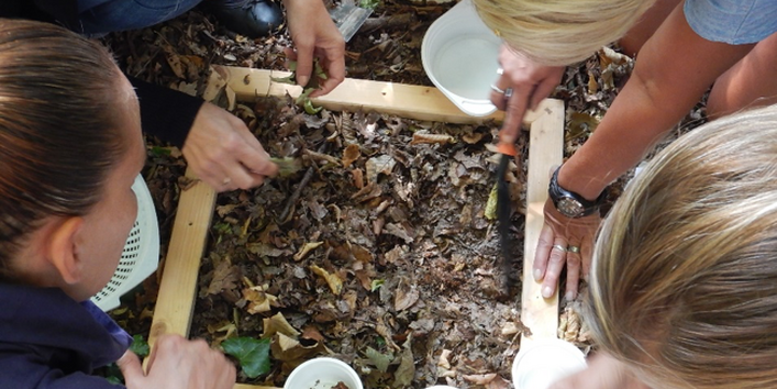 Teilnehmende machen gemeinsam elementare Beobachtungen und Erkundungen des Bodens an Hand eines selbst gewählten Ausschnittes der Bodenoberfläche