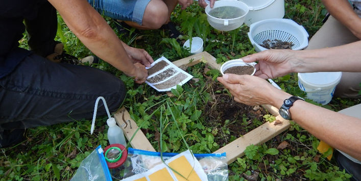  Teilnehmende machen gemeinsam elementare Beobachtungen und Erkundungen des Bodens an einem selbst gewählten Ausschnitt der Bodenoberfläche