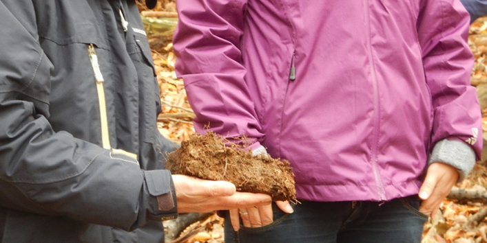 Vorstellung eines besonderen Bodenfundstücks 