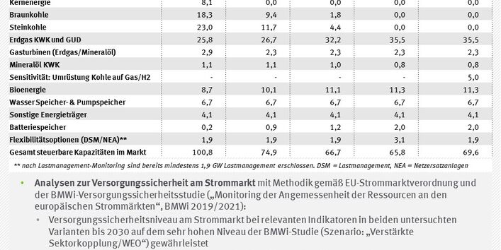 Tabelle und Stichpunkte zu Ergebnissen der steuerbaren Kapazität am Markt