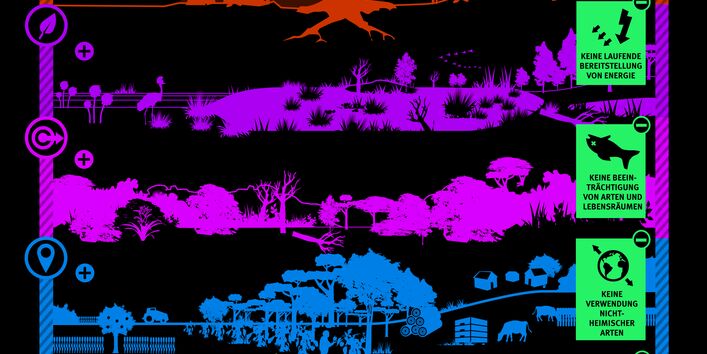 Naturbasierte Lösungen: Lokal angemessene und anpassungsfähige Maßnahmen zum Schutz der Ökosysteme.