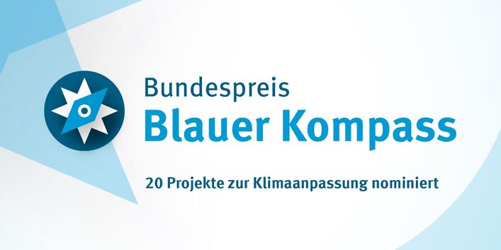 Grafik "Blauer Kompass"