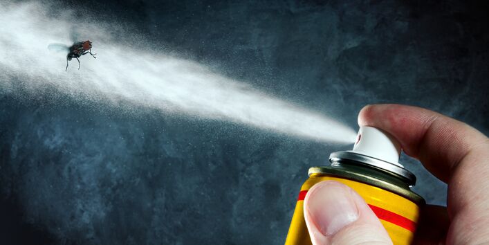 Eine Fliege wird mit Insektenspray angesprüht