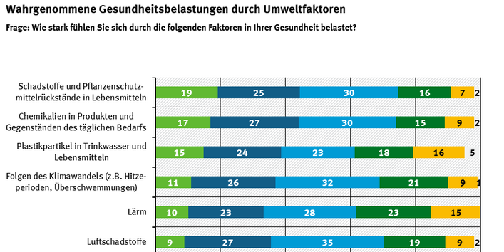 Balkendiagramm, das wahrgenommene Gesundheitsbelastungen durch bestimmte Umweltfaktoren darstellt