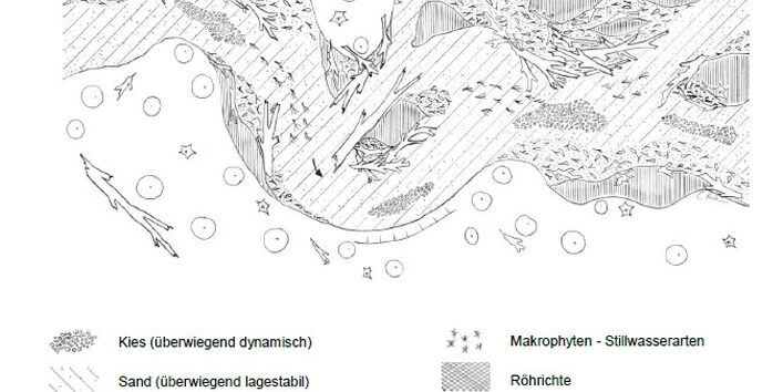 Skizze des Habitats des sandigen Tieflandbachs