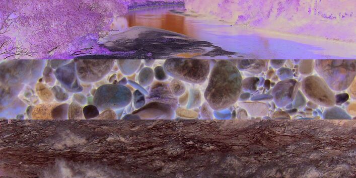 Drei Bereiche eines Gewässers