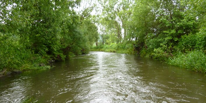 Foto des Flusses Kyll