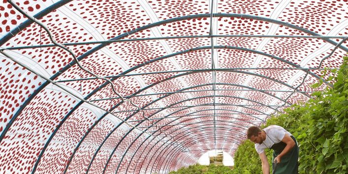 Ein Gewächshaus bezogen mit der innovativen Folie.