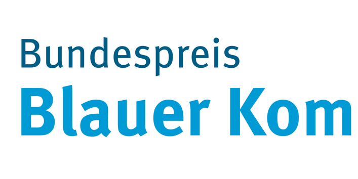 Der Bundespreis Blauer Kompass hat eine blaue Kompassnadel als Logo