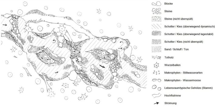 Gezeichnete Skizze, die eine hydromorphologische Idealstruktur eines Fließgewässers vom Typ 5 zeigt. Entlang des Ufers finden sich lebensraumtypische Gehölze, Wurzelballen und Totholz. Die Gewässersohle prägt Schotter und Kies. Mehrere Schotter- und Kiesbänke liegen im und am Gewässer, die teilweise überspült werden beziehungsweise teilweise Inseln bilden, die vom Gewässer umflossen werden. Makrophyten wie zum Beispiel Wassermoose und Totholz tragen zur hohen Strukturvielfalt im Gewässer bei.