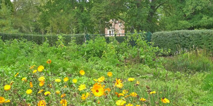 Blumen und Gemüsepflanzen im Nutzgarten der Urbanen Farm, im Hintergrund der Gartenpavillon "Schlangenhaus" des Liusiums.