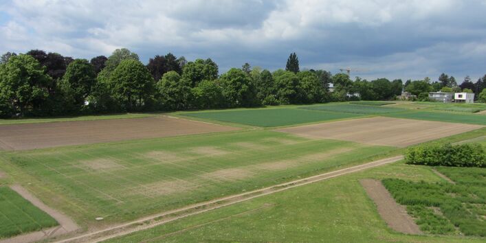 Dauerversuch Bodennutzung