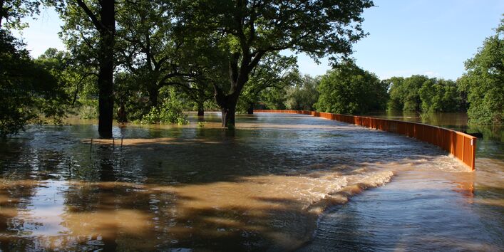 Überflutete Elbaue bei Dessau.