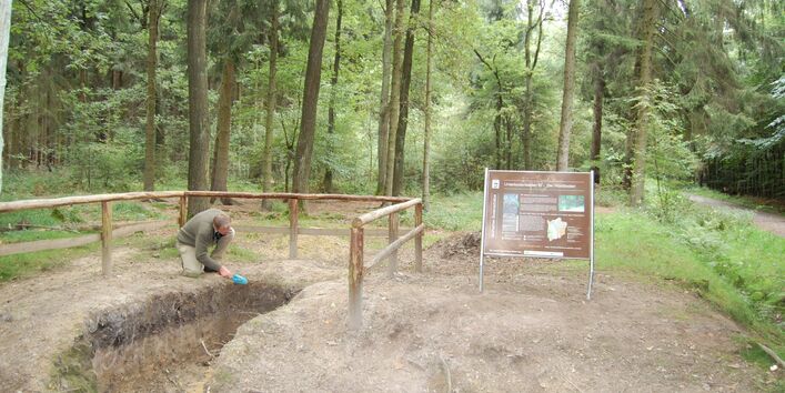 begehbares Bodenprofil Waldboden