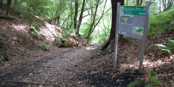 Buchwald mit Infoschild am Kaisberg