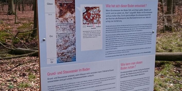 Foto einer Infotafel des Lehrpfades Wohldorfer Wald