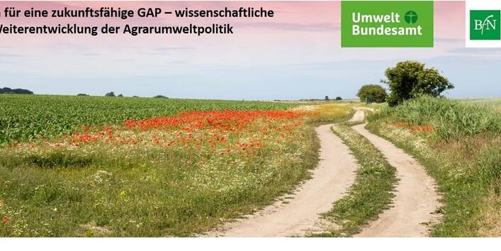 Es ist eine Wiese zu sehen, im Vordergrund die Logos BfN und UBA