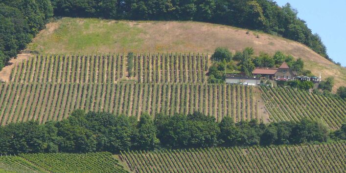 Die Landschaft an der Station Handthal