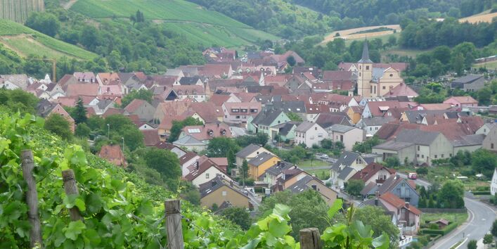 Die Landschaft an der Station Retzstadt