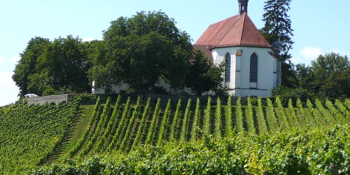 Die Landschaft an der Station Vogelsburg