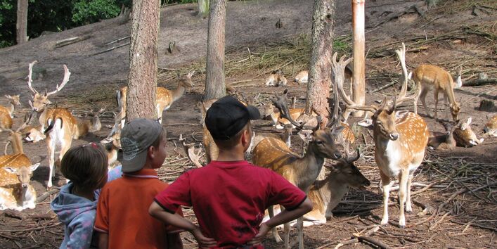 Begehbares Wildfreigehege