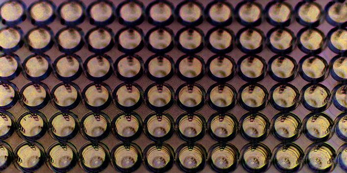 Probenuntersuchung im Labor