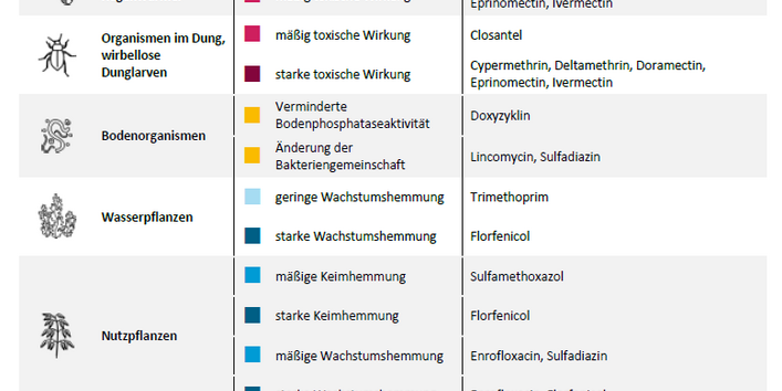 Tabelle mit den drei Spalten: Nichtzielorganismen, Effekte im Laborversuch und Wirkstoffe. Für die Nichtzielorganismen Wasserflöhe, Zuckmücken, Fische, Regenwürmer, Dungorganismen, Bodenorganismen, Wasserpflanzen, Nutzpflanzen, Cyanobakterien und Grünalgen wird überblicksartig in Stufen angegeben, bei welchen Wirkstoffen toxische Wirkungen, Veränderungen der Artenzusammensetzung und Wachstumshemmungen beobachtet wurden.
