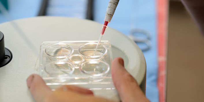 Foto einer Transferpipette, mit der Kalb-Embryonen in einem Zuchtlabor aufgenommen werden.