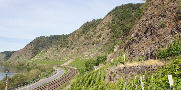 Weinreben an steilen Hängen entlang eines Flusstales