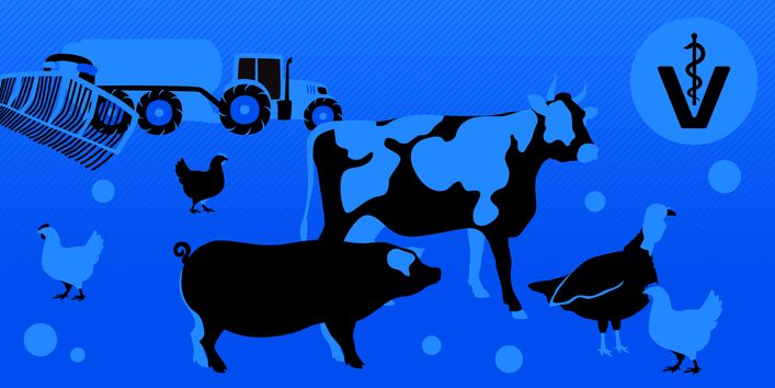 Zeichnung mit folgenden Motiven: Traktor mit Güllebehälter und Schleppschlauchvorrichtung zur Gülleausbringung, Veterinärzeichen, Rind, Schwein, Pute, Hühner