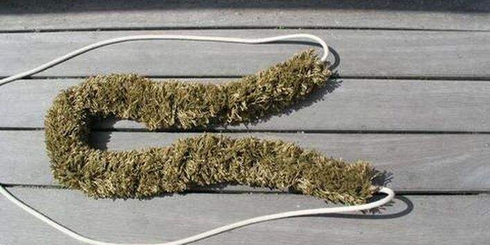 Reinigungsbürste für den Bootsrumpf