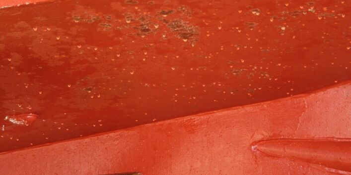 Beispiel Zingst, Rumpfmitte mit Moostierchen direkt nach dem Kranen, September 2016