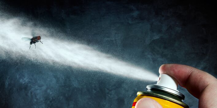 Eine Sprühdose und eine Fliege.
