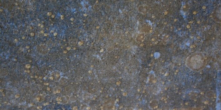 Erstinspektion, Nahansicht Bewuchsgemeinschaft zwischen Wasserlinie und Kiel mit Seepocken, ...