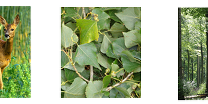 Umweltprobenbank Terrestrik 2018 - Foto