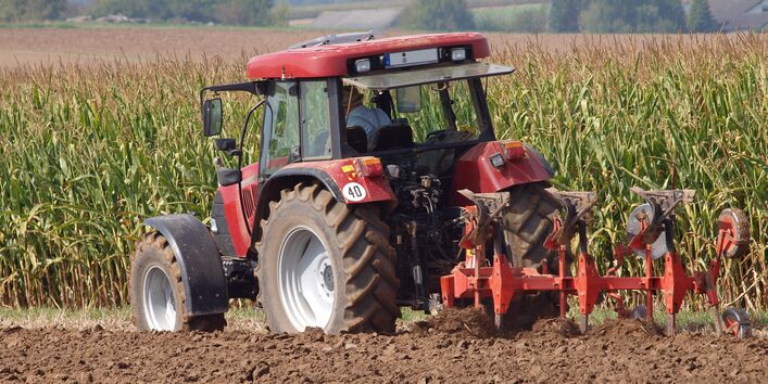Brown earth - one of many strong types of soil