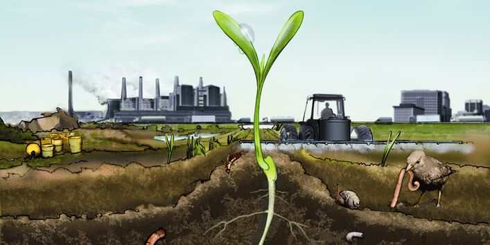 Graphic realization of a multifarious land use