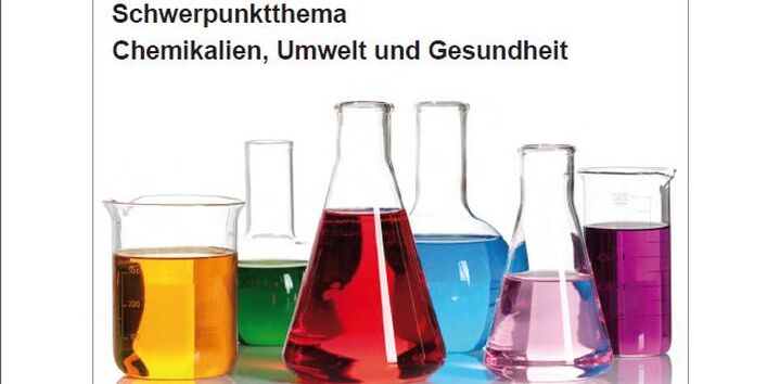 Titelbild UMID 01/2013