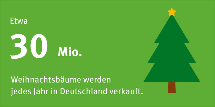 Die Infografik zeigt einen Weihnachsbaum. Jährlich werden etwa 30 Millionen Weihnachtsbäume in Deutschland verkauft.