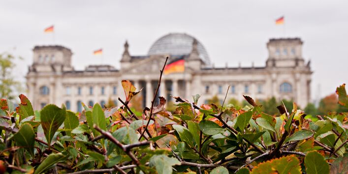 Reichstag unscharf im Hintergrund vor grünem Gebüsch