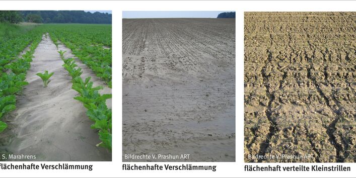 Photo of a collection of extensive forms of erosion.