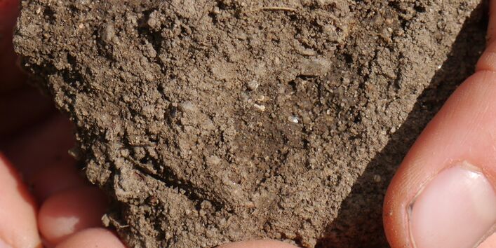 Ein Kind hält eine Hand voll Boden.