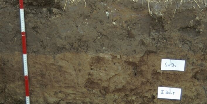 A soil profile with differently coloured layers of brown earth.