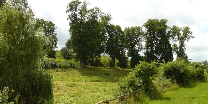 Wiesen und Bäume im hügeligen Gelände im Sommer mit der Station in einer Baumgruppe
